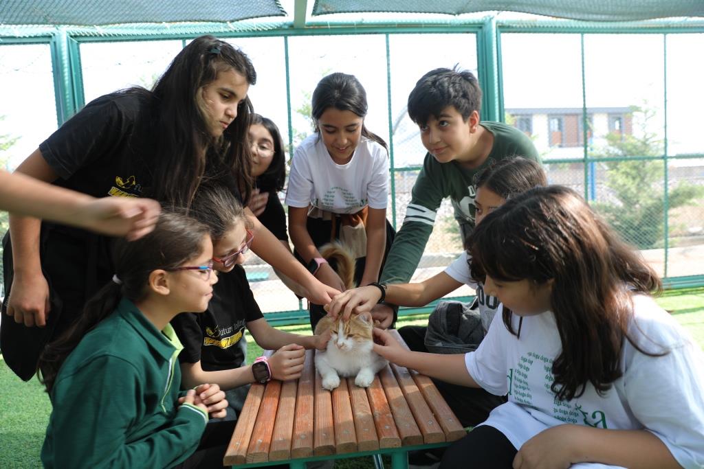 Kedi kasabasında 4 Ekim coşkusu: Minikler kedilerle buluştu